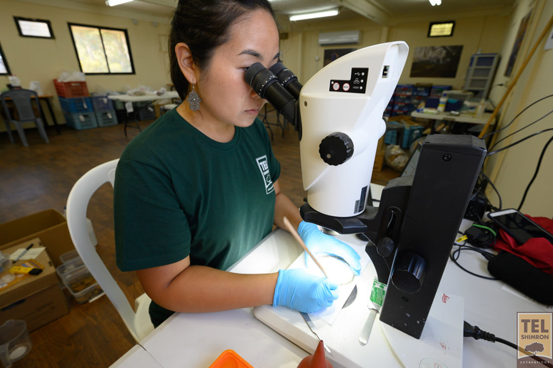 Microscope work