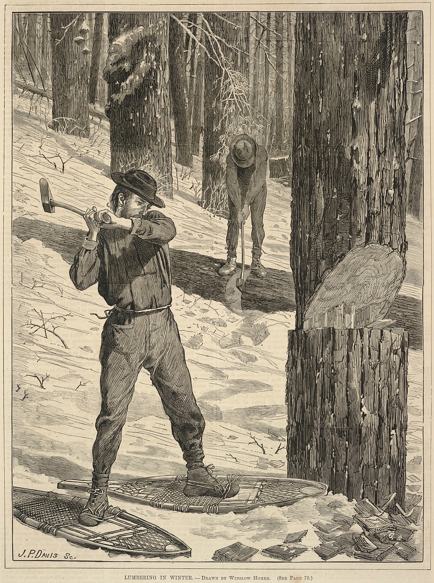 Image of man with axe cutting down tree